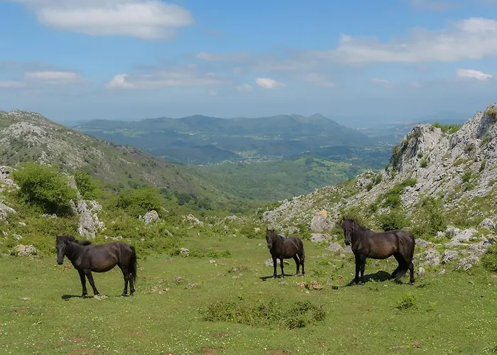 Conjunto Rural La Tejedora. Y Estudios Familiares. * Rasines