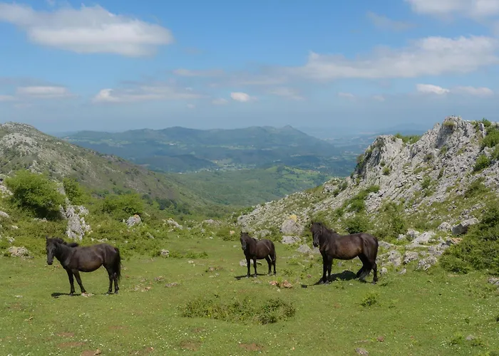 Conjunto Rural La Tejedora. Y Estudios Familiares. Rasines